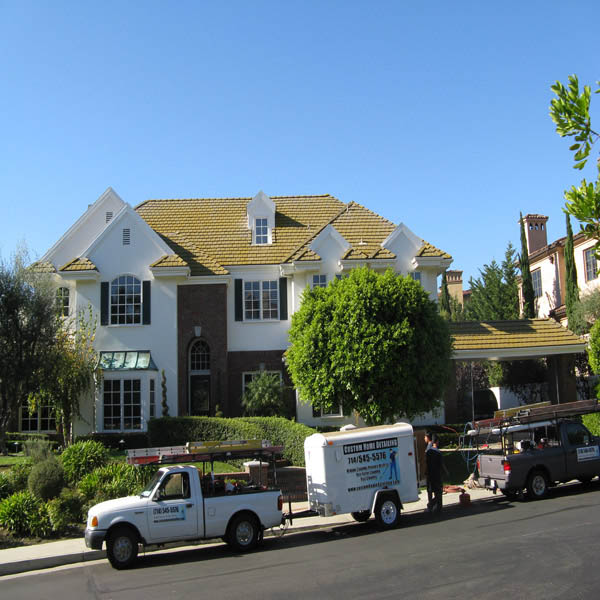 Roof Cleaning Before