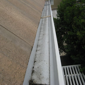 Rain Gutter Cleaning Testimonial