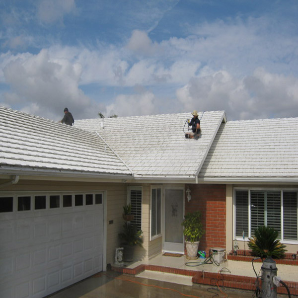 Metal roof cleaning project