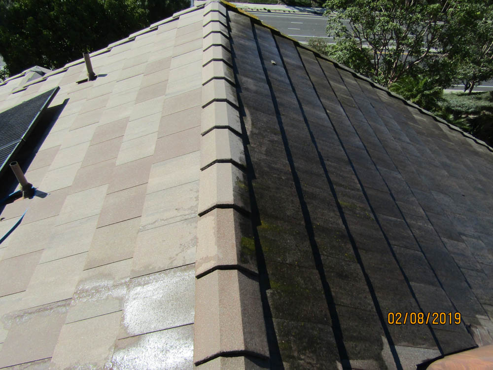 Roof Cleaning Before & After Slate Tile