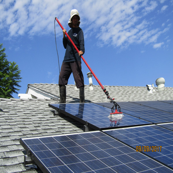 Solar panel cleaning service in progress